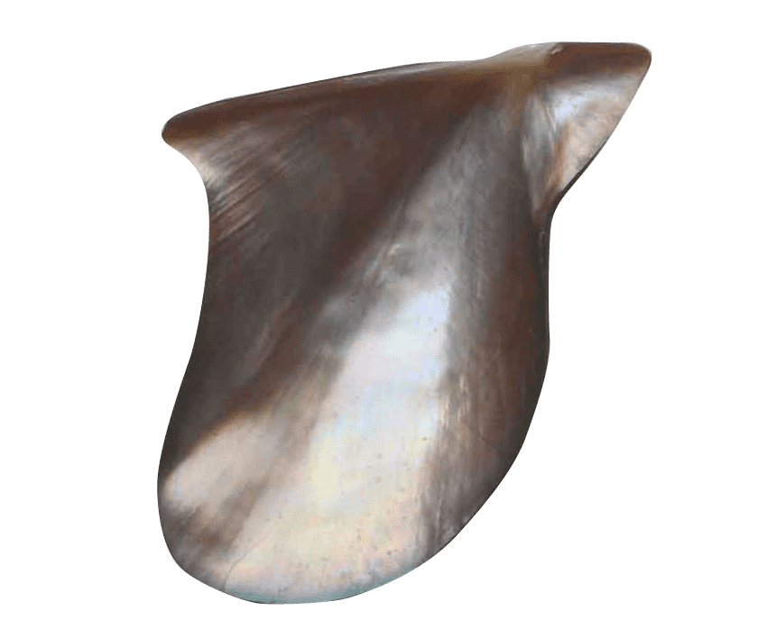 Australian Mother of Pearl Co. Pty Ltd